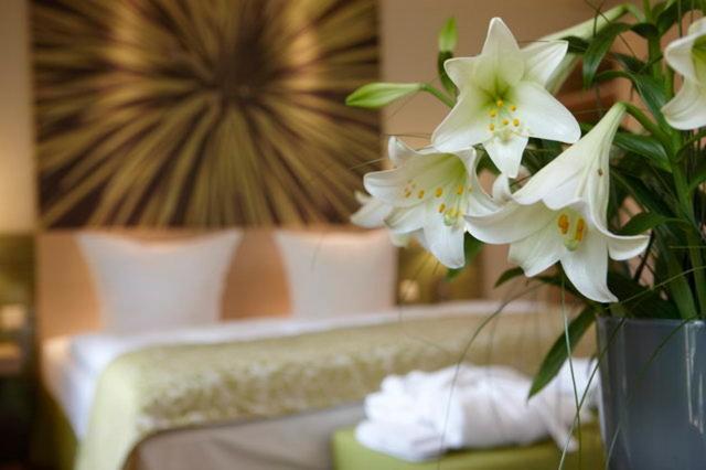 Hotel Logis Kur- Und Wellnesshaus Spree Balance Burg (Spreewald)